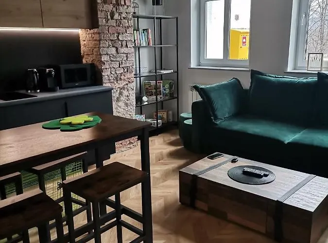 Gor-ski Saneczkowa 아파트 카르파츠