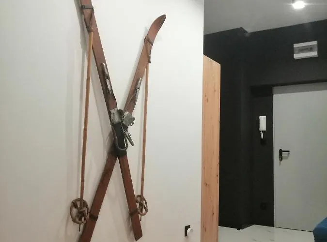 Gor-ski Saneczkowa Apartment Karpacz