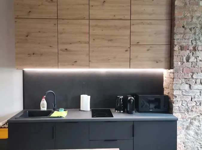 Gor-ski Saneczkowa Apartment Karpacz